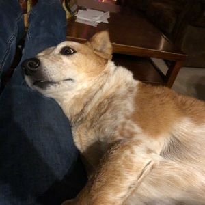 Meet your Posher, Eleanor